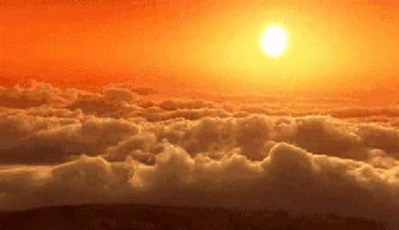 1656099166772512.gif 640.gif