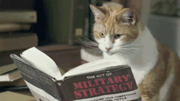 1656099178410126.gif 640 (1).gif